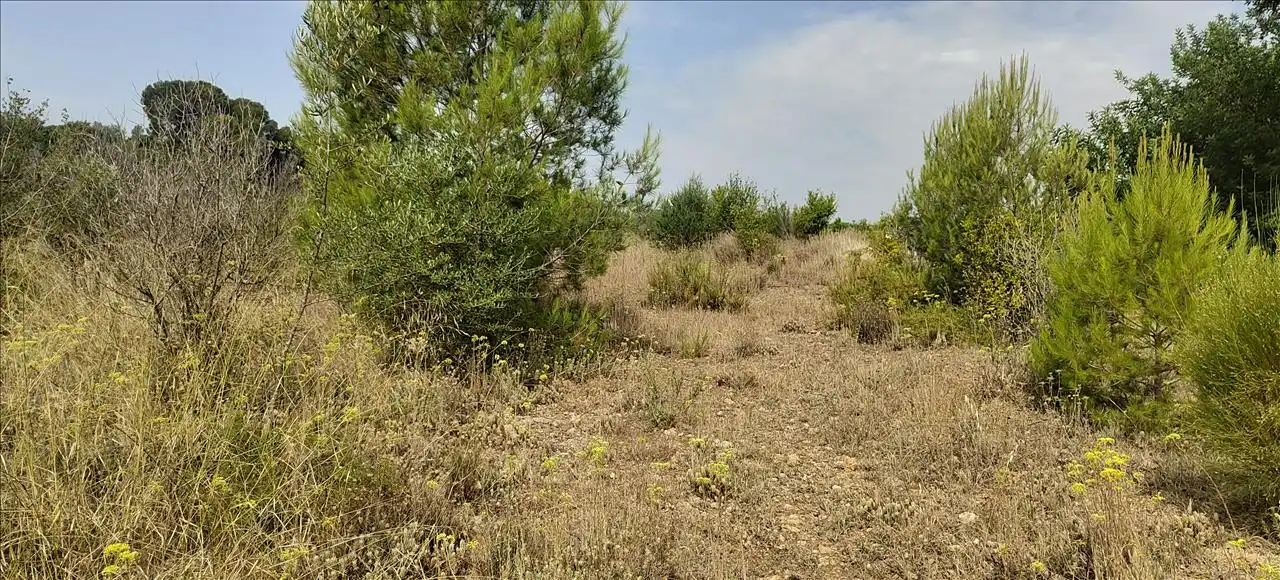 Residencial en venta en Estubeny