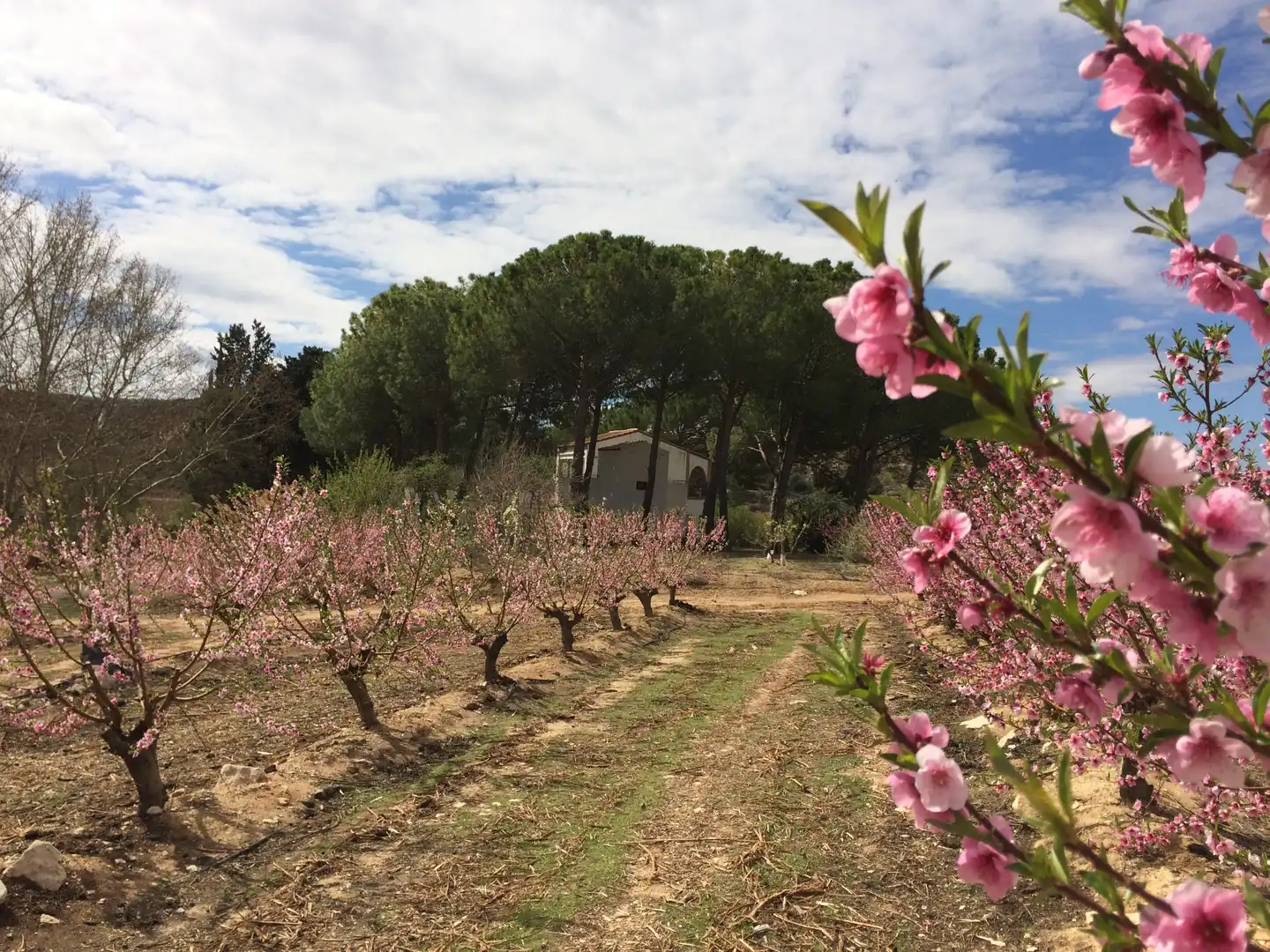 Terreni e lotti in vendita a Fraga, imagen 36