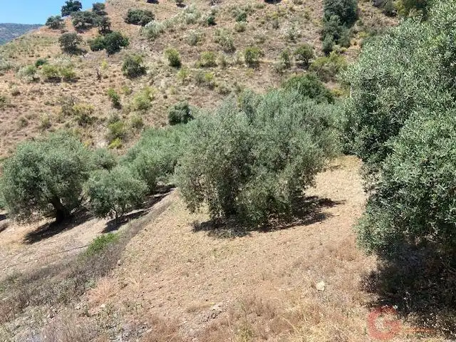 Casa rústica en venda a Comares, imagen 20