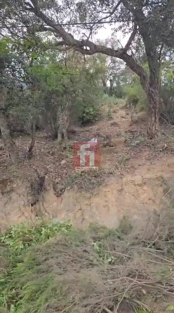 Terrenys i solars en venda a Del Pas 19, imagen 4