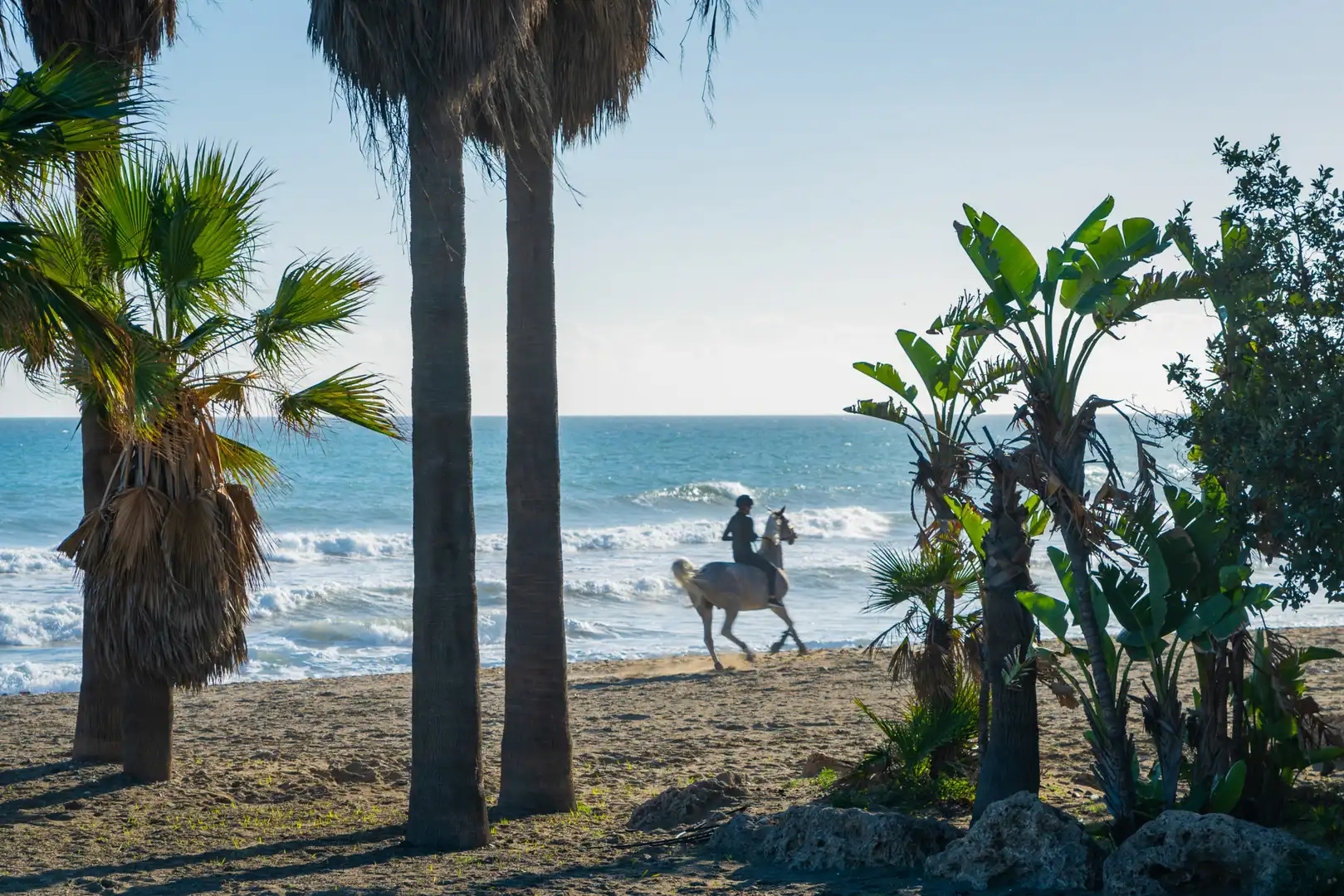 Exterior view of Apartments for sale in Estepona  with Air Conditioner, Terrace and Furnished