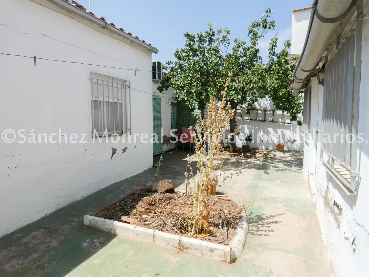 Vista exterior de Casa o xalet en venda en Alcázar de San Juan amb Aire condicionat, Calefacció i Jardí privat