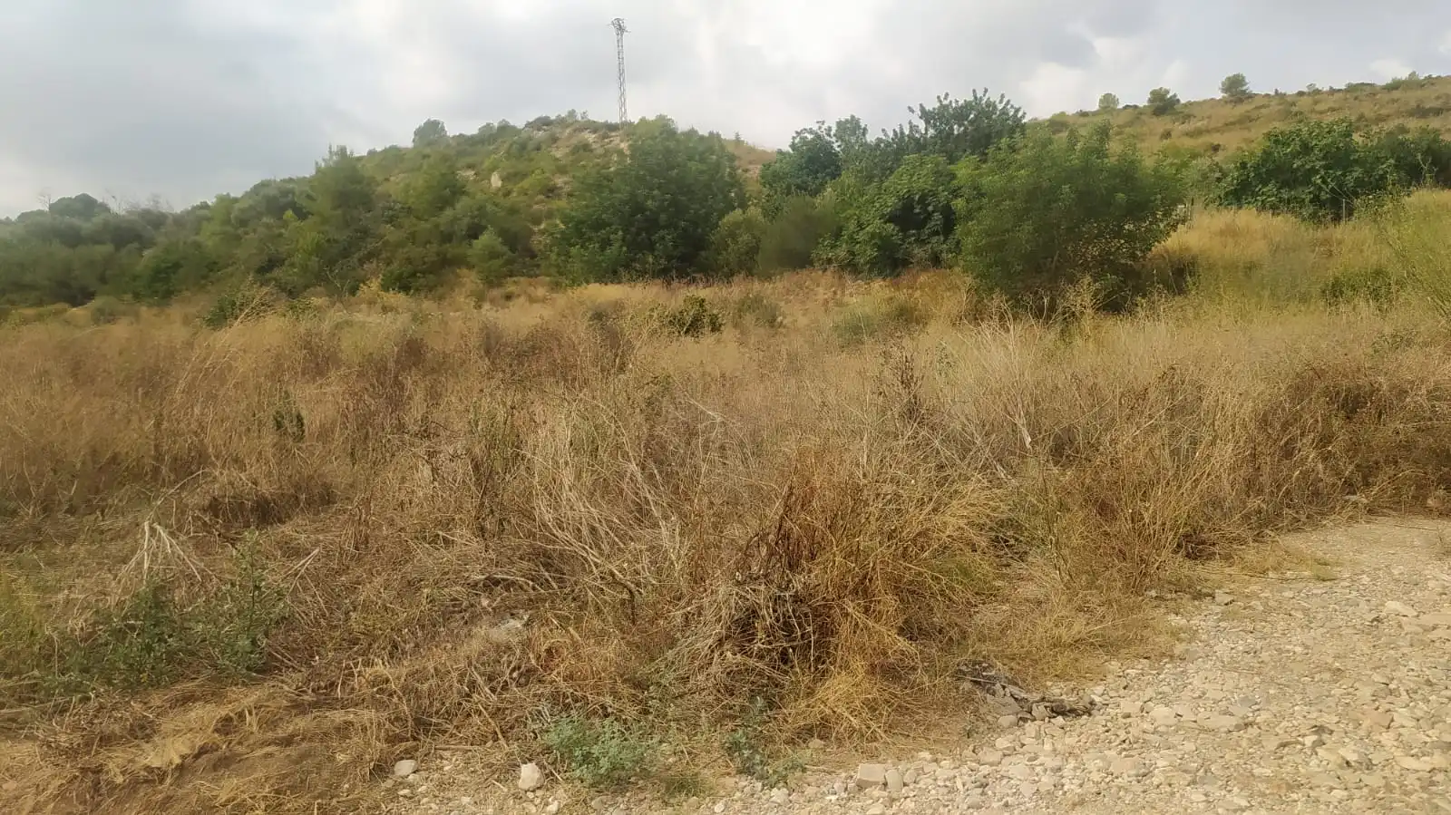 Rural land for sale in Vilamarxant, imagen 3