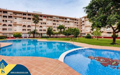Swimming pool of Study for sale in Torrevieja  with Air Conditioner and Terrace
