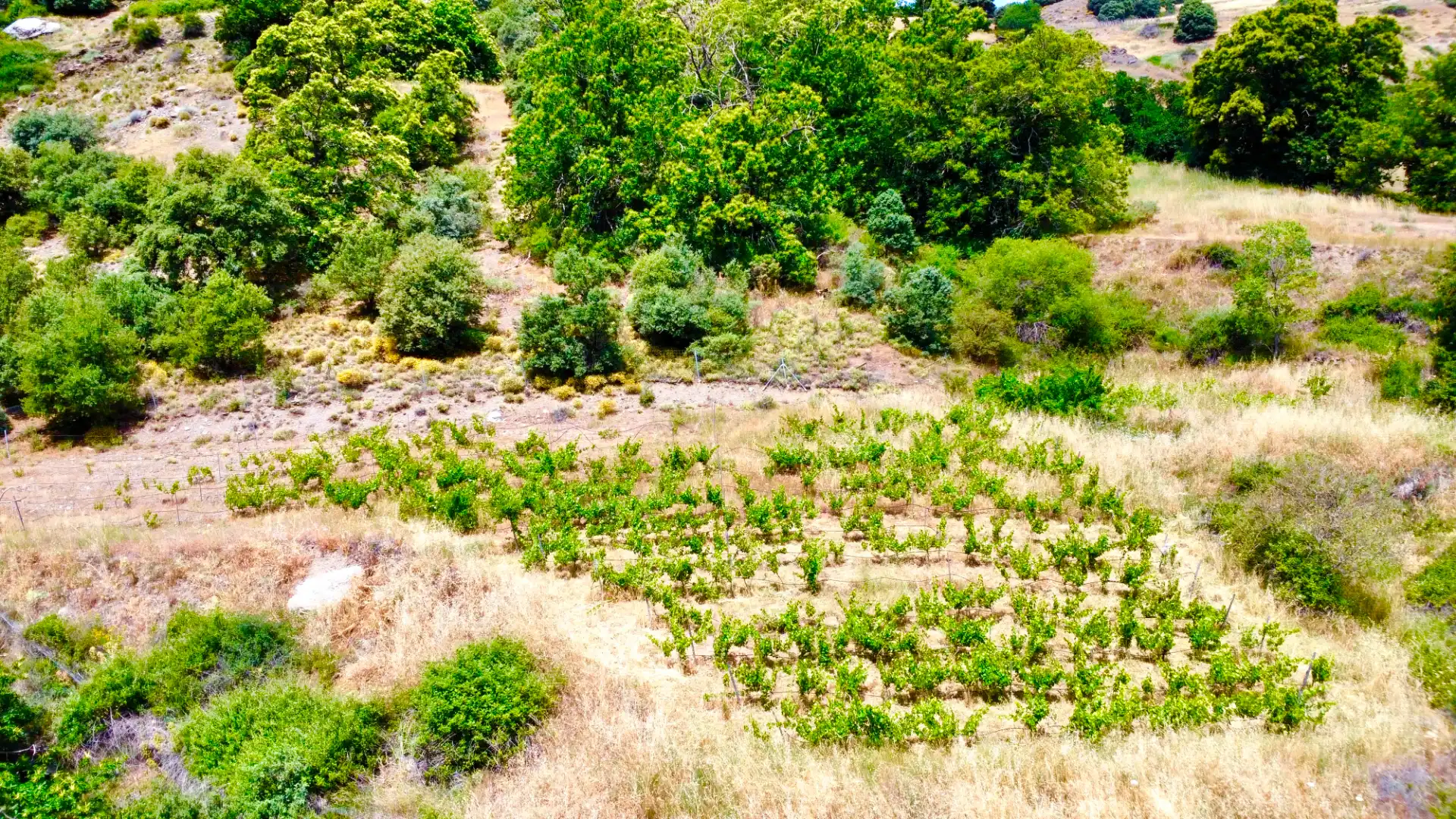 Terreni e lotti in vendita a Alpujarra de la Sierra, imagen 40