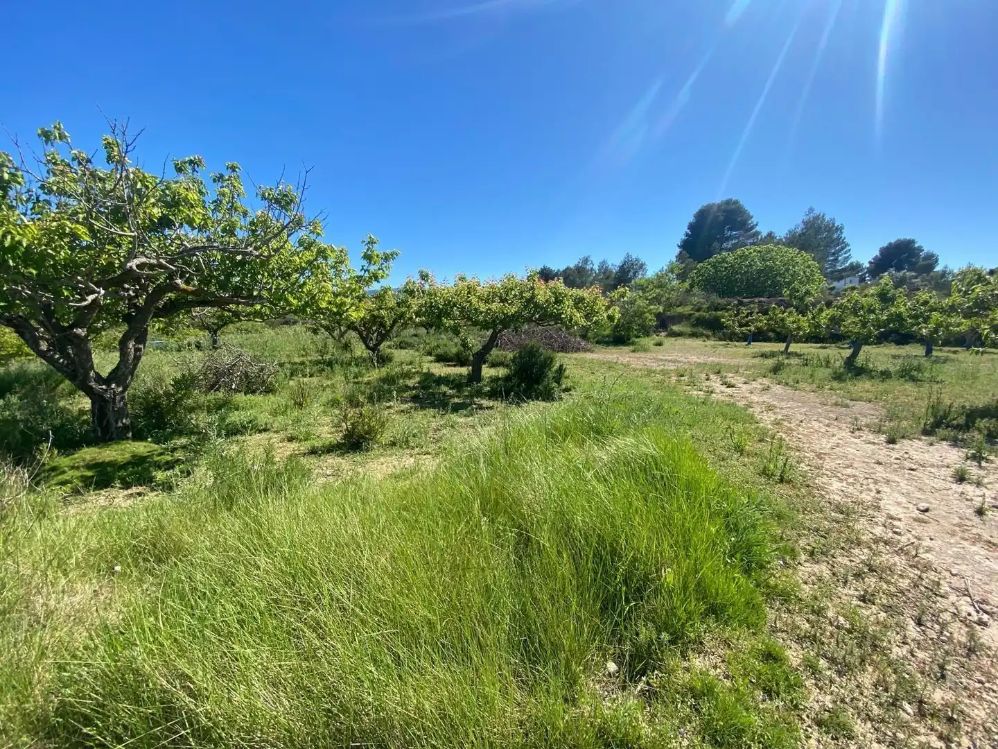Wohnbaugrundstück zum Verkauf in El Palomar