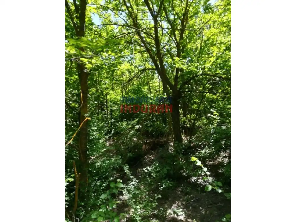 Finca rústica en venta en Villarrubia de Santiago