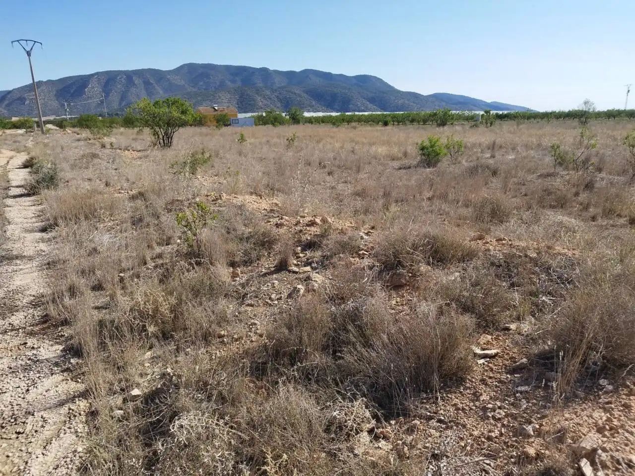 Terreny rústic en venda a Caravaca de la Cruz, imagen 4