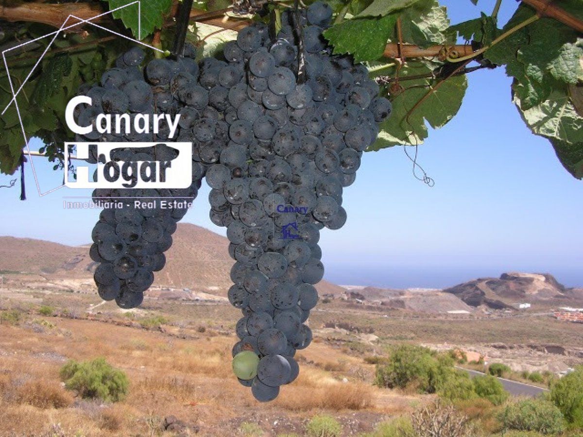 Country house for sale in San Miguel de Abona  with Air Conditioner, Private garden and Terrace