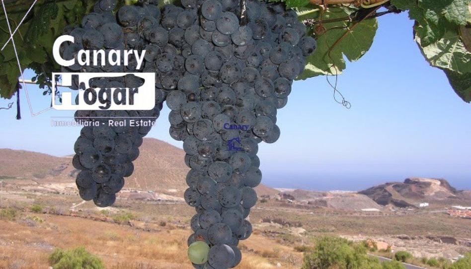 Foto 1 de Finca rústica en venda a Aldea Blanca - Las Zocas, Santa Cruz de Tenerife