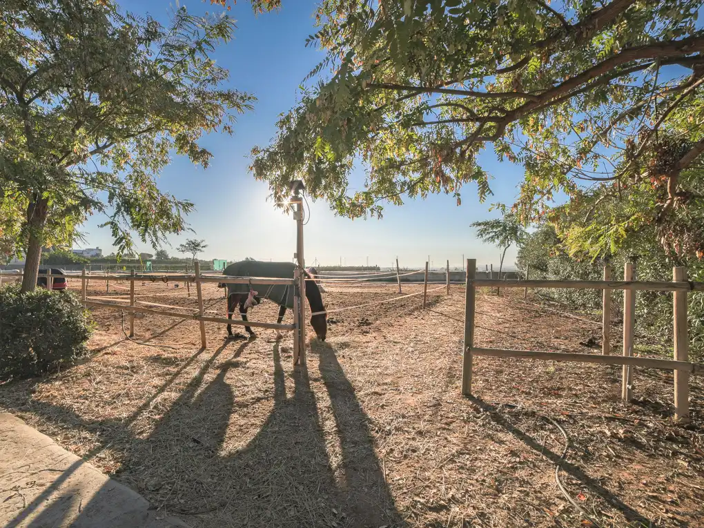 Casa amb terrassa en venda a Los Pinares - La Masia, imagen 5