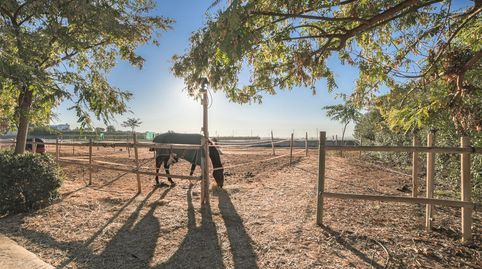 Finca ecuestre en Bétera, Bild 5
