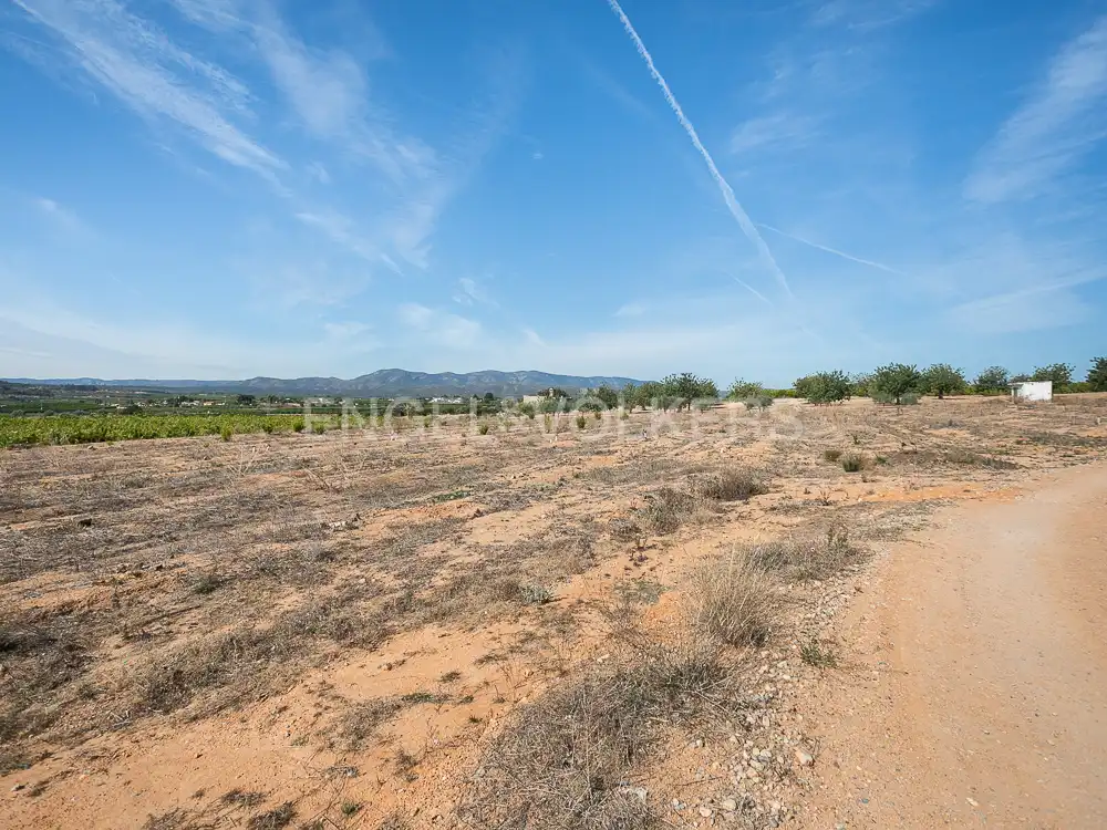 Terrenos y solares en venta en Pedralba, imagen 17