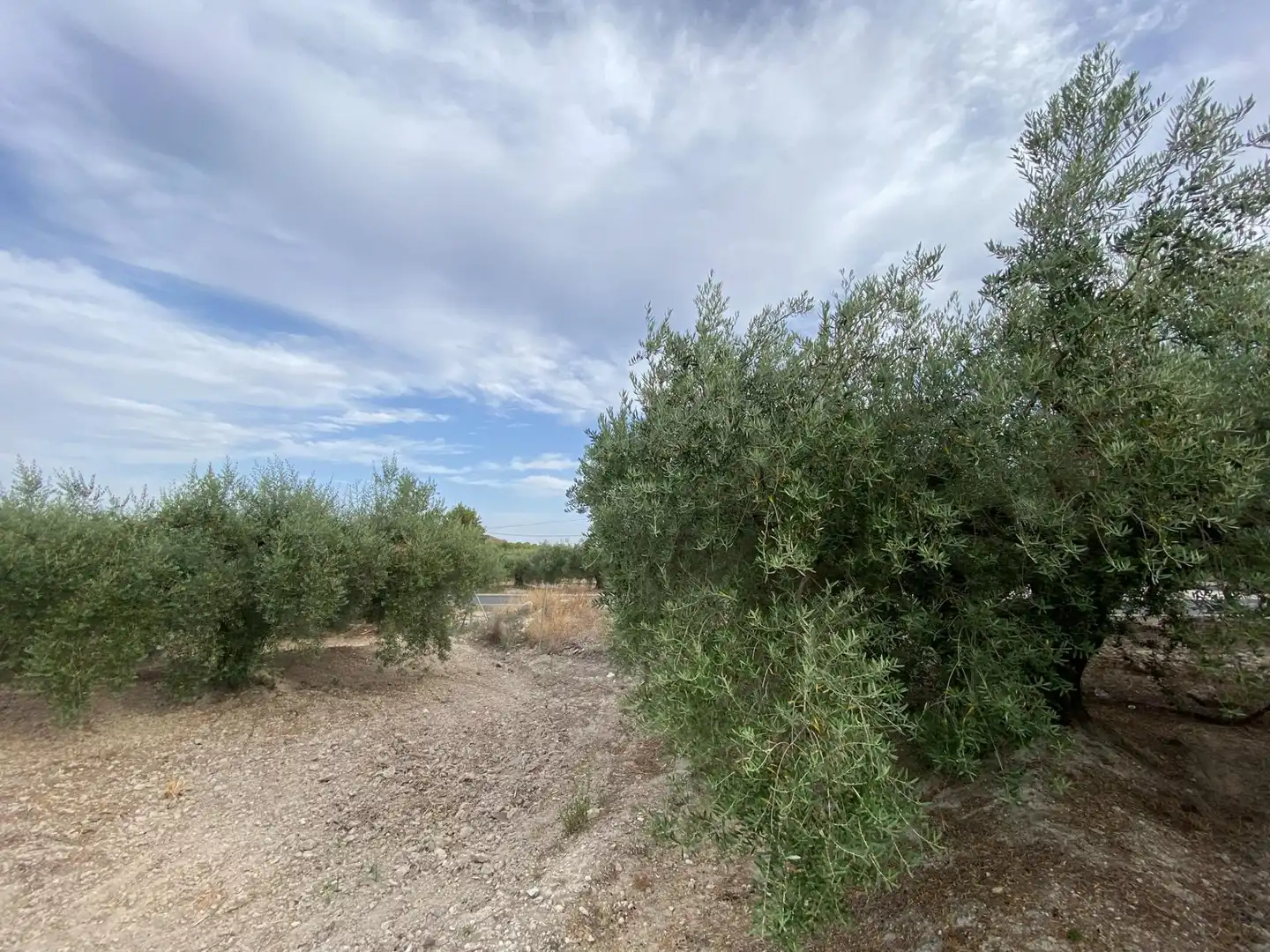 Casa o chalet en venta en Moratalla con Jardín privado, Terraza y Trastero