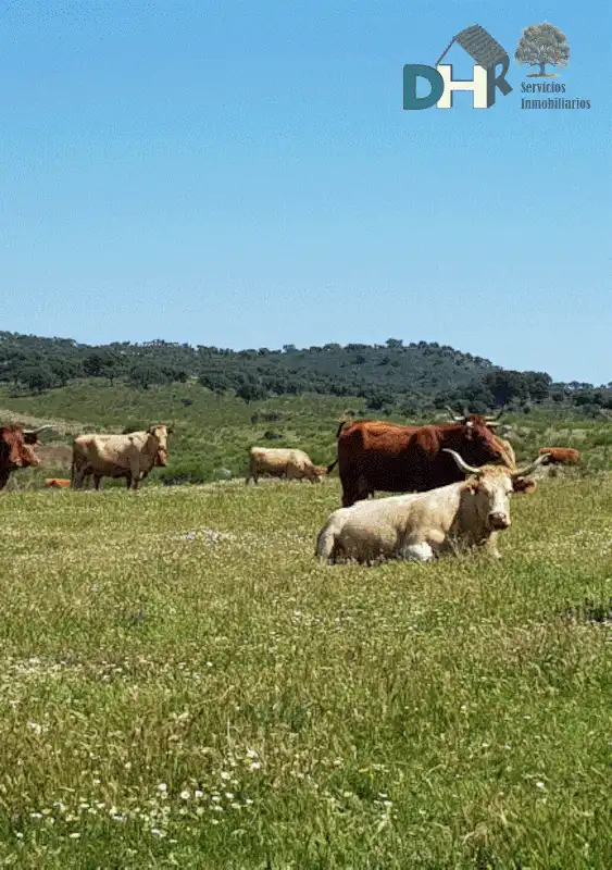 Terreni e lotti in vendita a San Roque - Ronda Norte, imagen 7