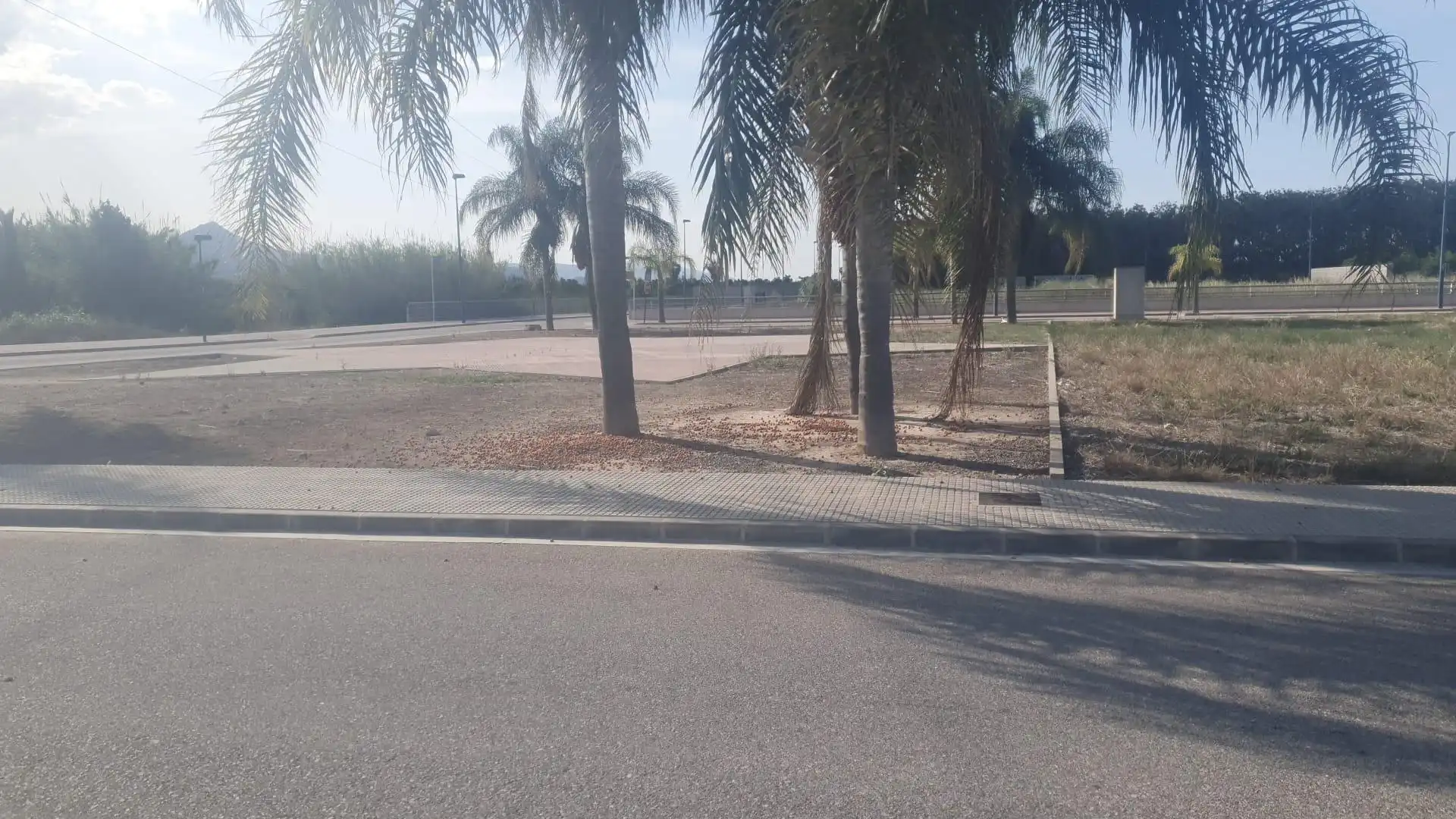 Terreny residencial en venda a MIRAMAR, imagen 2