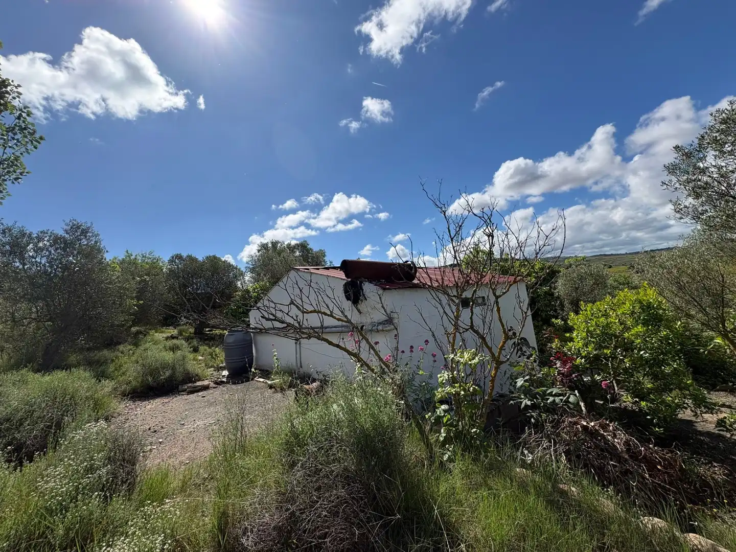 Land for sale in Cenicero