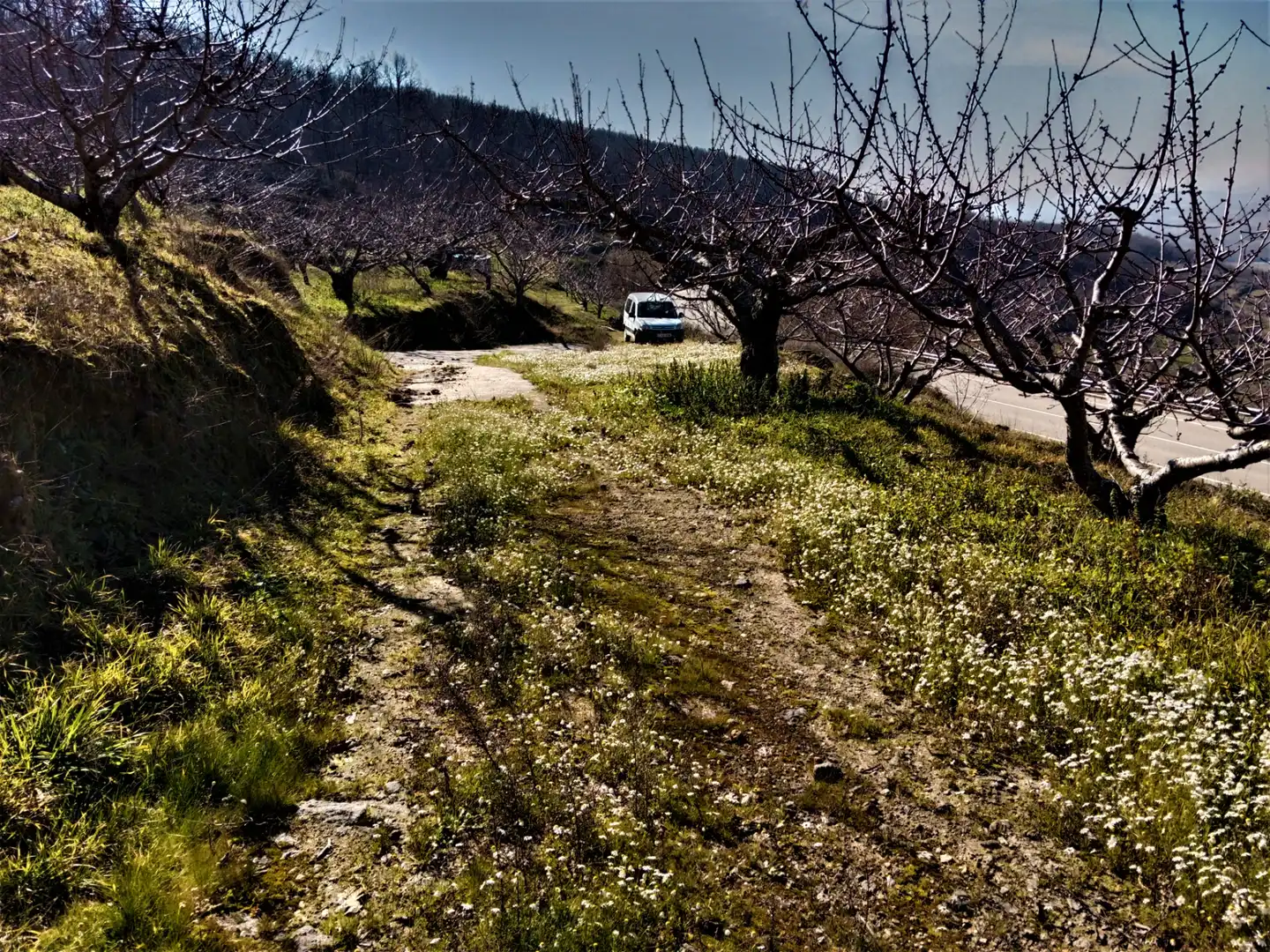 Terreni e lotti in vendita a Barrado, imagen 21