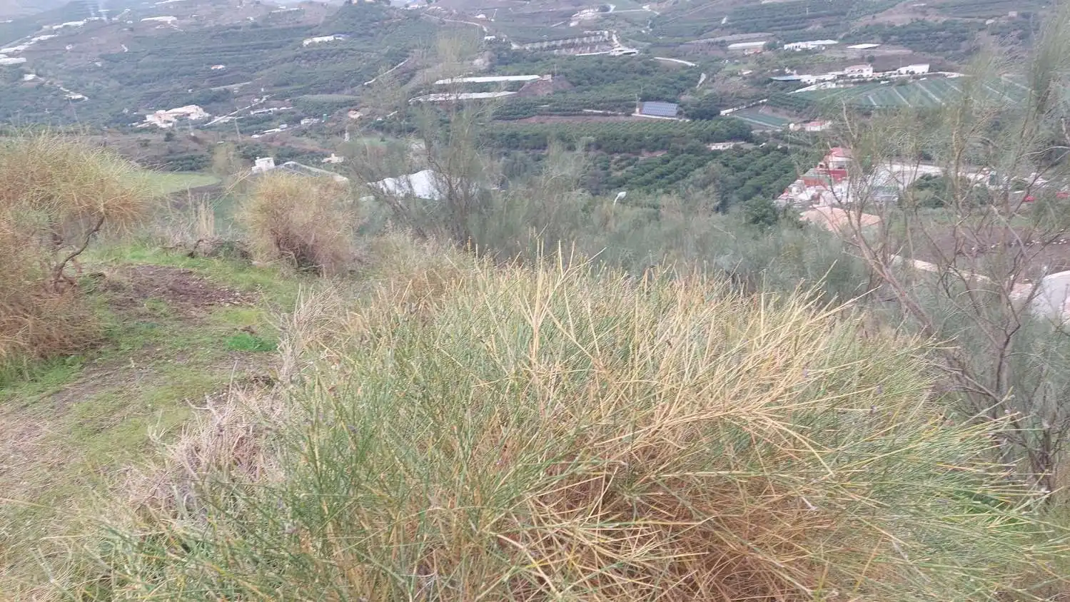 Terrenys i solars en venda a N/A, imagen 5