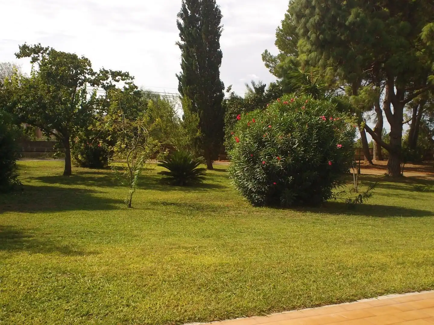 Maison à vendre à Manacor Centre, imagen 11