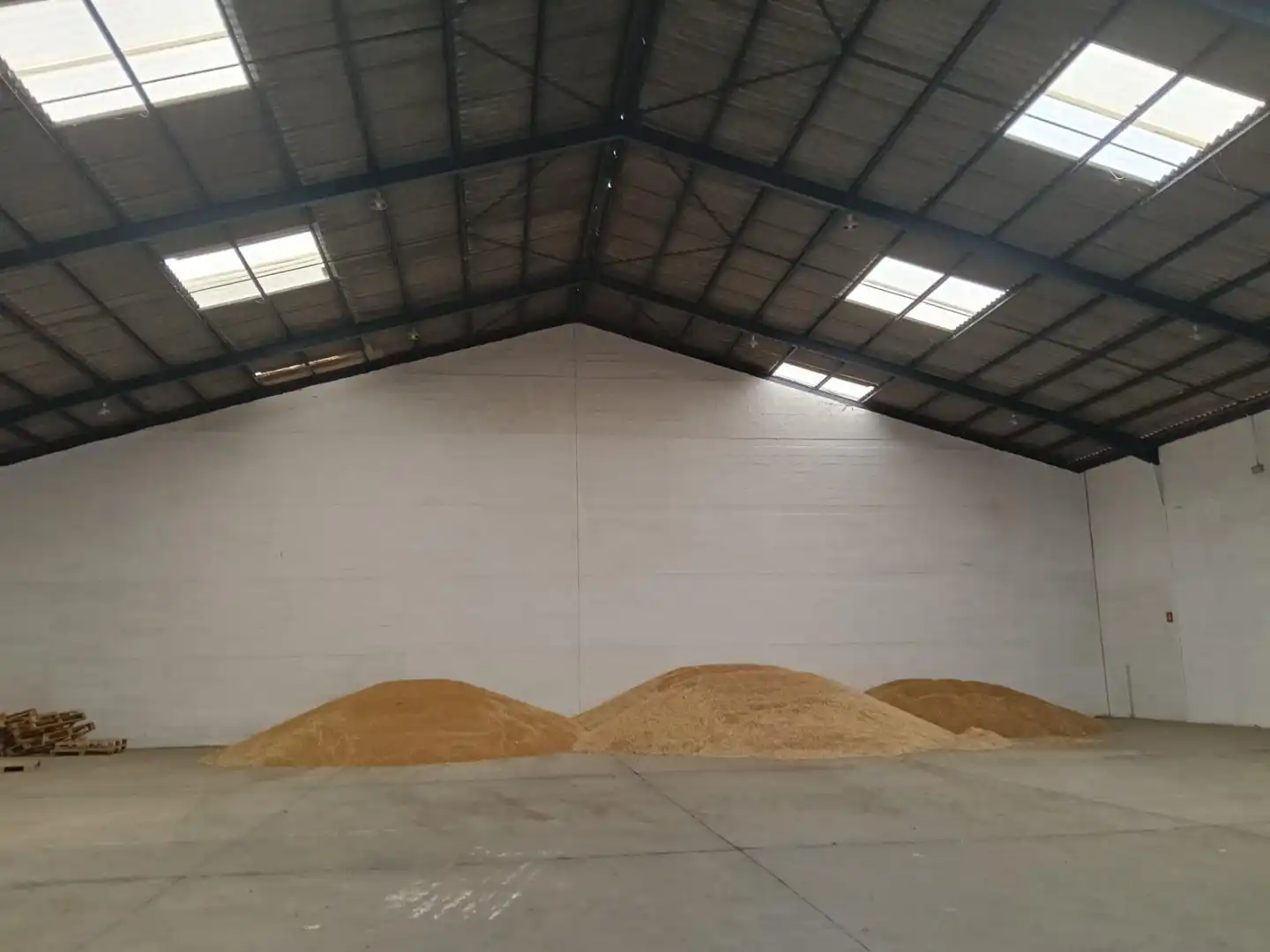 Nave industrielle à louer à Jerez Sur, imagen 5