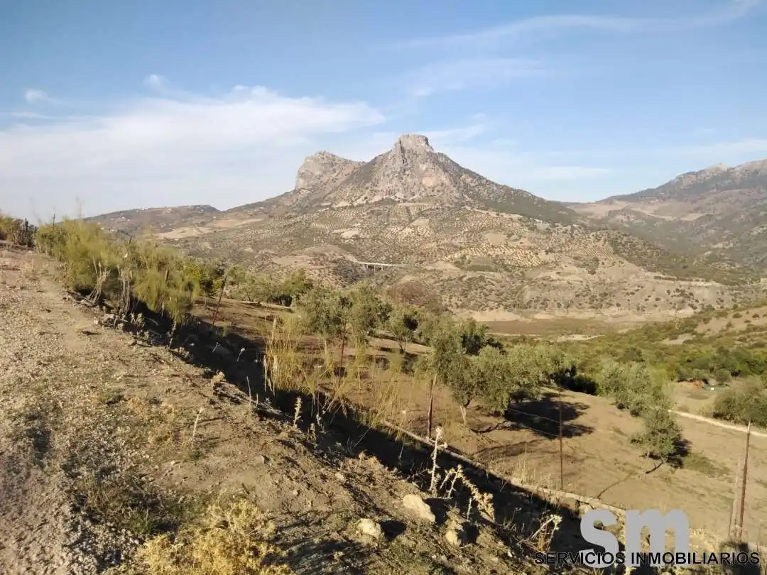 Terreno en venta en Zahara
