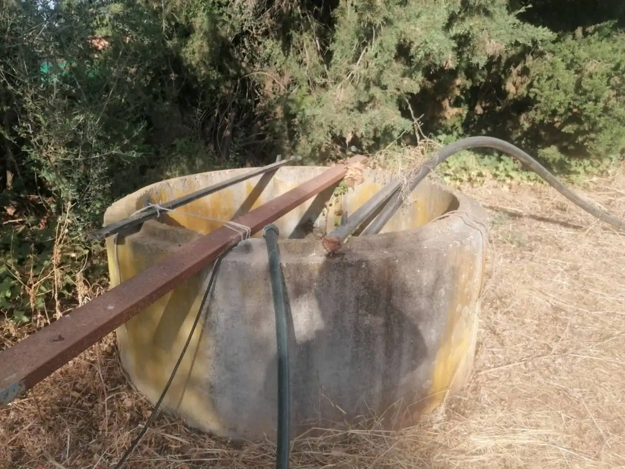 Jardí de Casa o xalet en venda en Carmona amb Jardí privat
