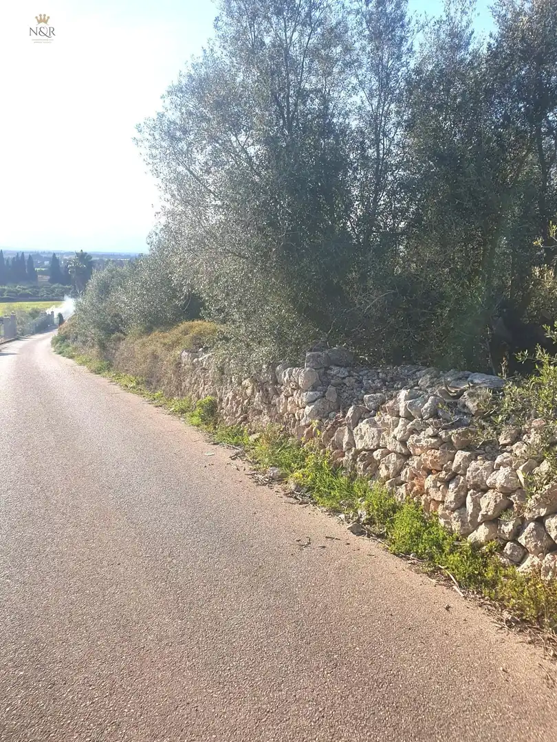 Rustikales Grundstück zum Verkauf in Muro, imagen 3