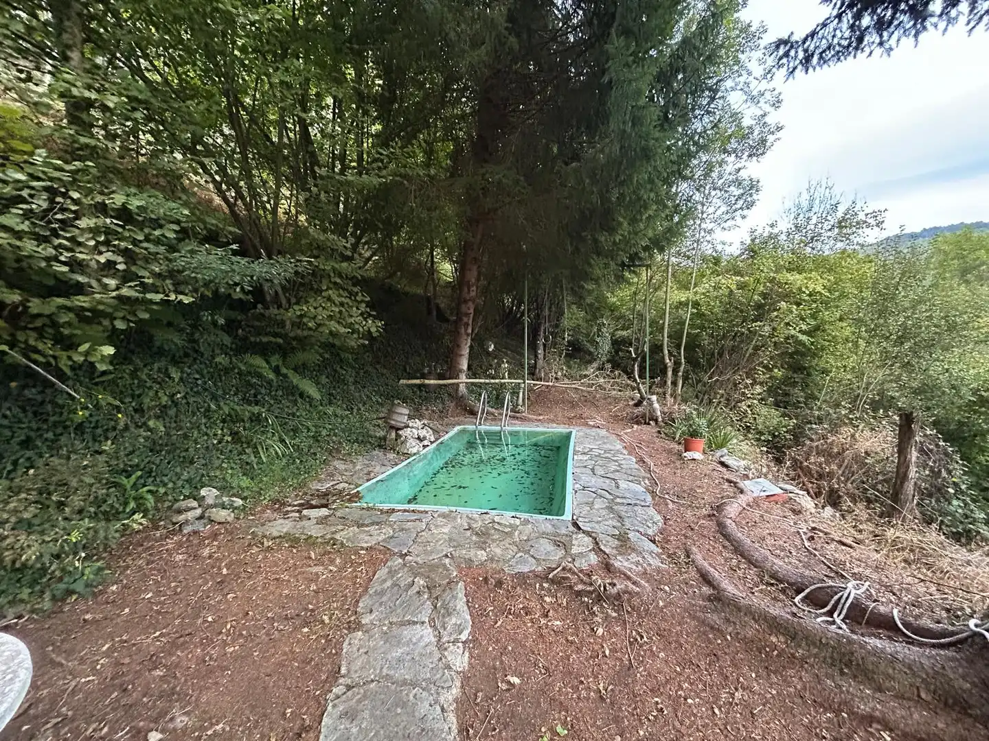Piscina de Casa o xalet en venda en Molló amb Jardí privat, Terrassa i Piscina