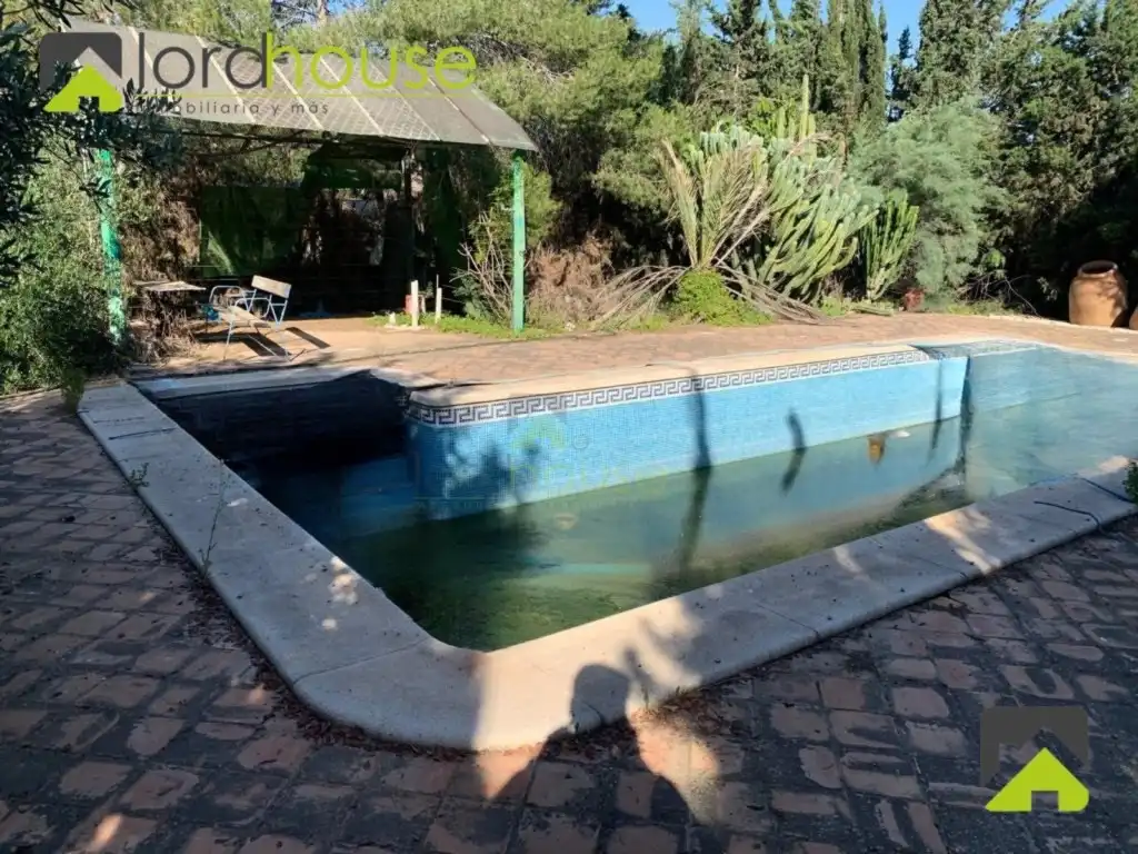 Swimming pool of Country homes for sale in Lorca