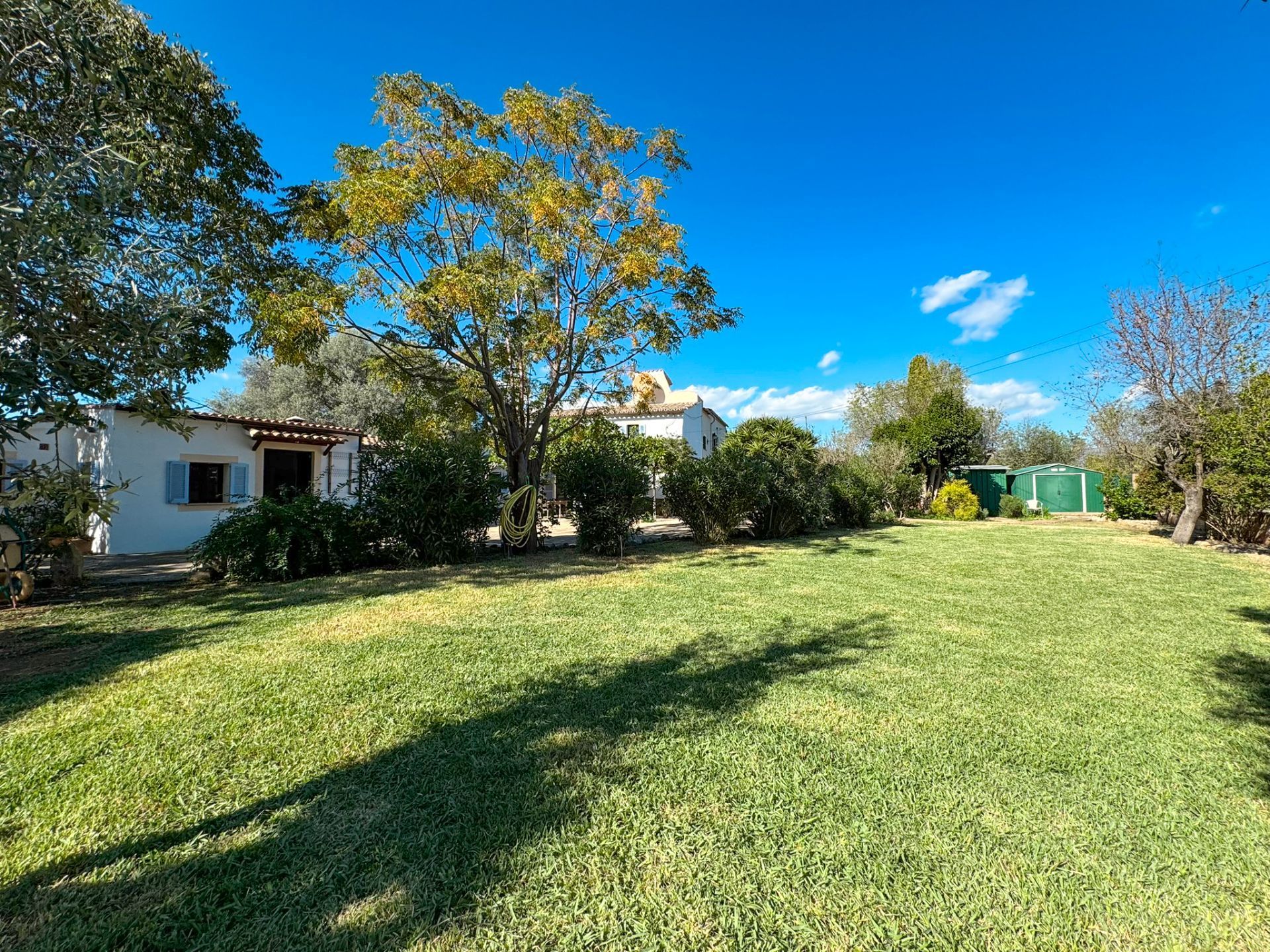 Jardí de Casa o xalet de lloguer en  Palma de Mallorca amb Jardí privat i Terrassa