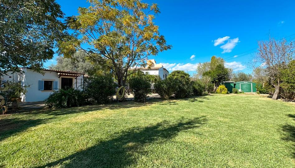 Photo 1 of Single-family semi-detached to rent in Son Espanyol, Illes Balears