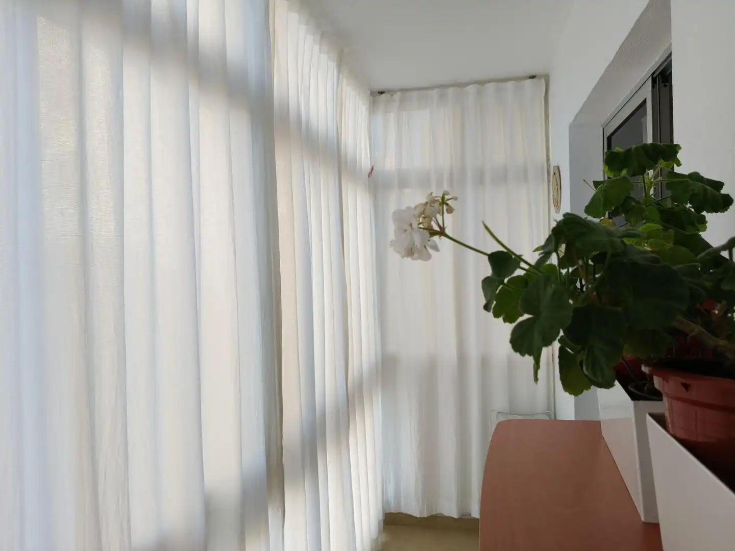 Apartament amb ascensor en venda a ROSARIO EL, imagen 9