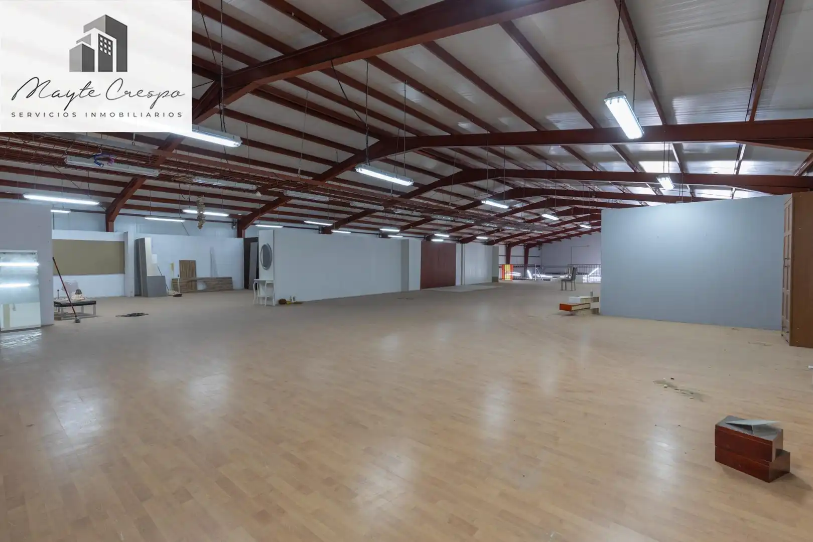 Industrial building for sale in Carretera de Iznalloz, imagen 18