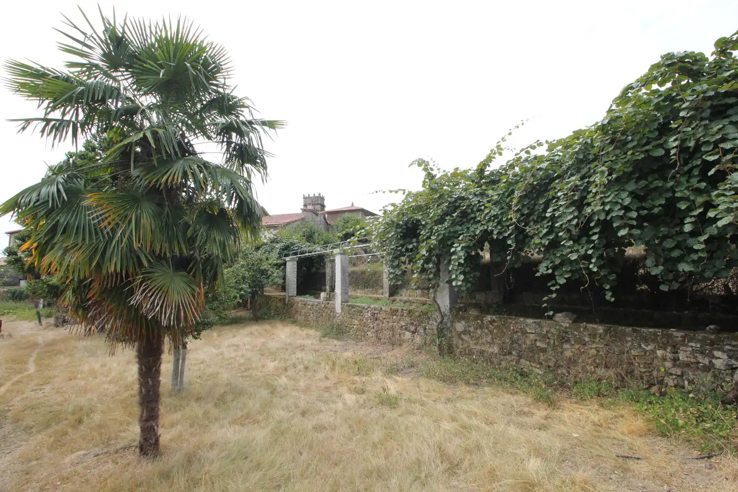 Finca rústica en venta en Pantón