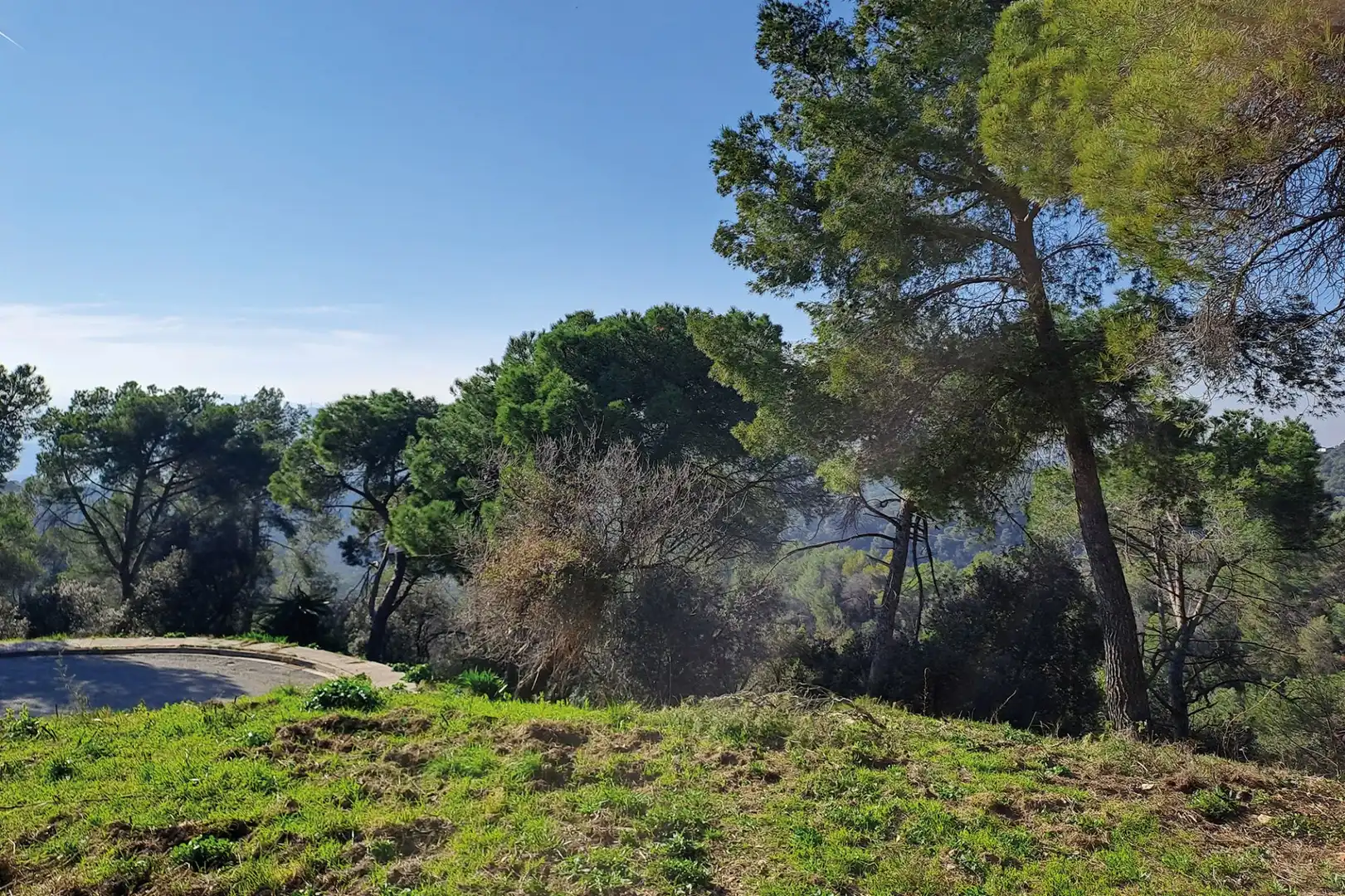 Lands and plots for sale in CANIGO, imagen 18