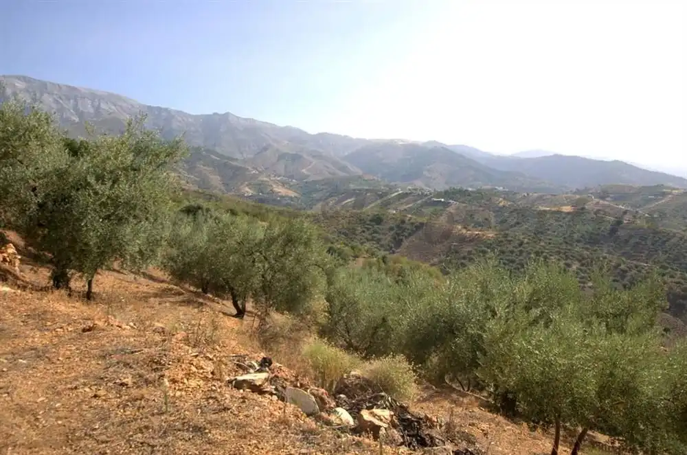 Terreno rústico en venta en Sedella, imagen 12