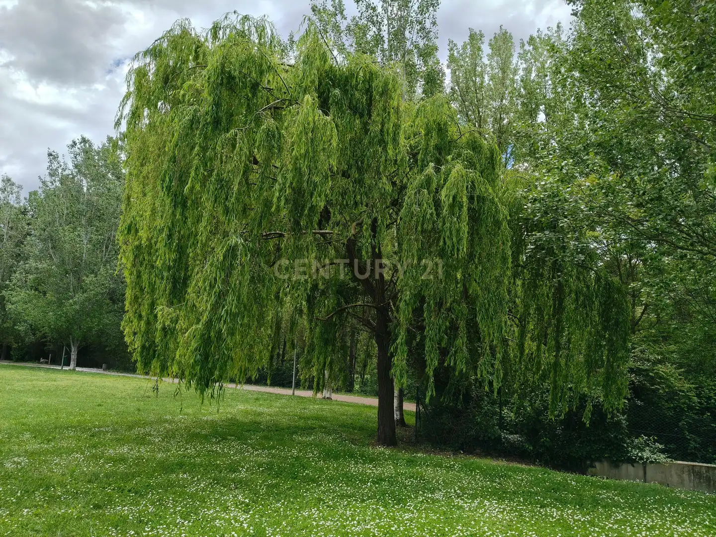 Terreno en venta en Sant Quirze de Besora