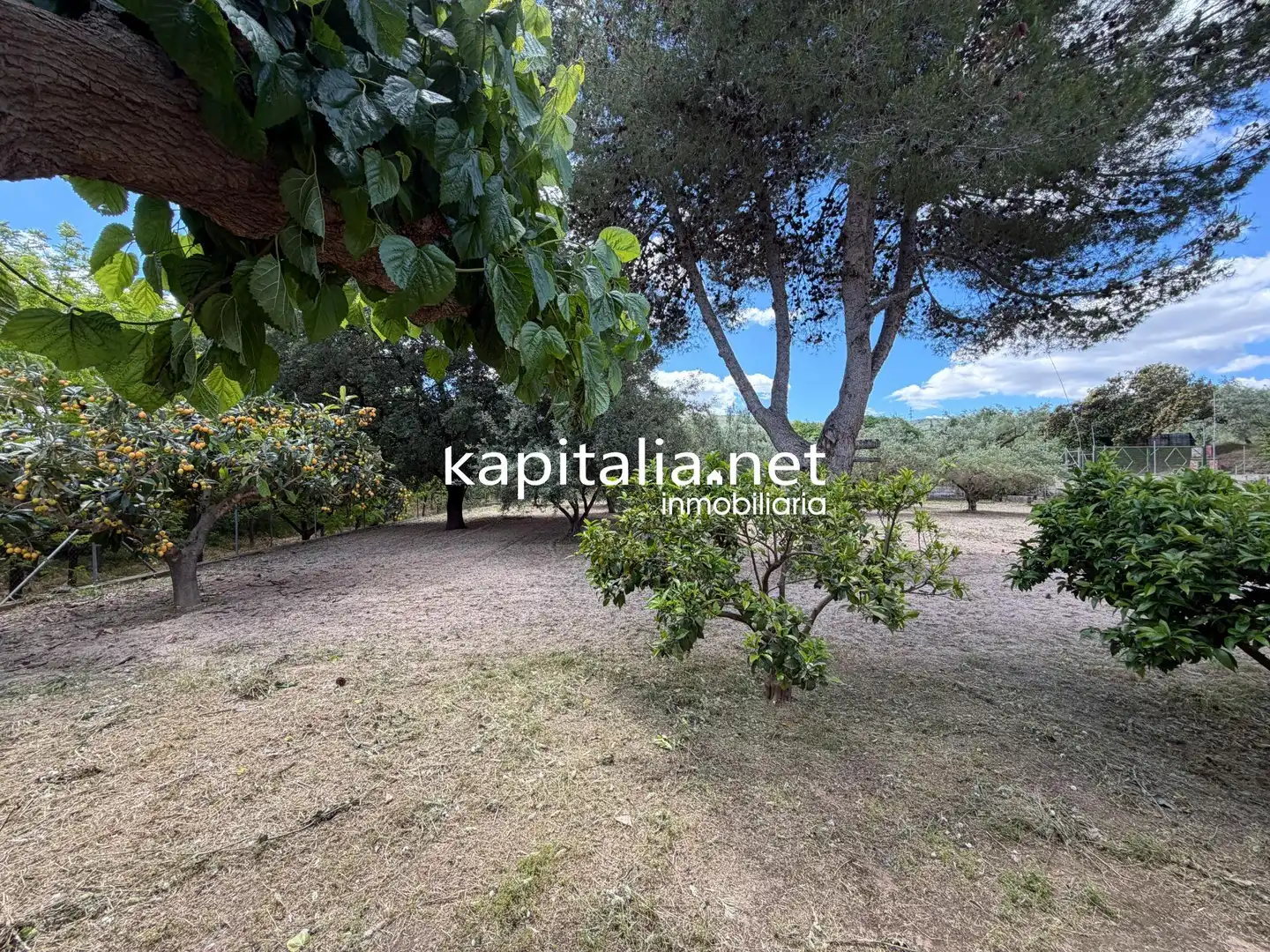 Chalet con jardín en venta en Sant Josep - Zona Hospital, imagen 24