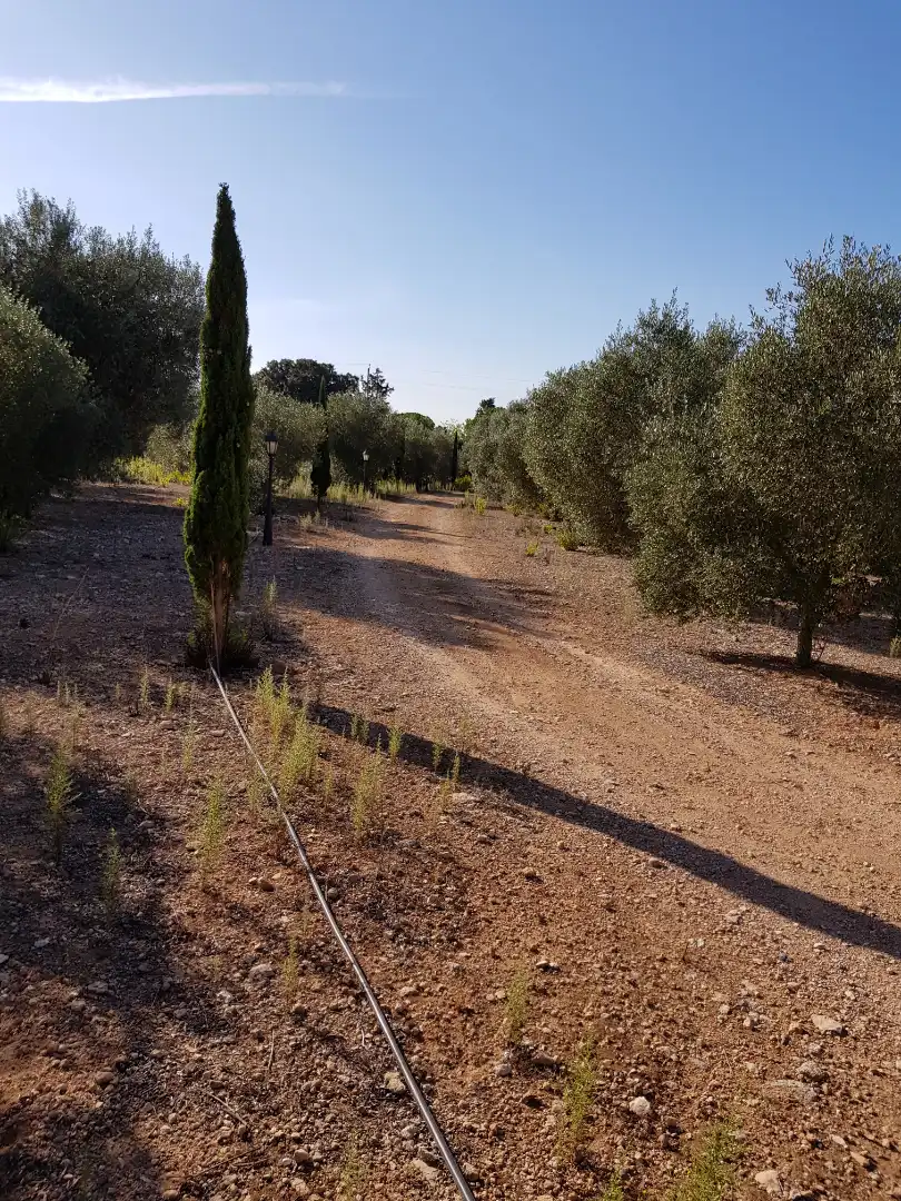 Finca rústica en venta en Santa Oliva con Calefacción, Jardín privado y Piscina