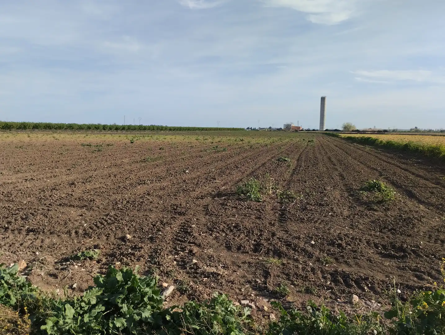 Terreno en venta en Guillena