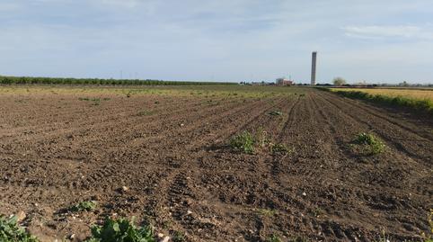 Photo 4 of Land for sale in N/a, -1, Torre de la Reina, Sevilla