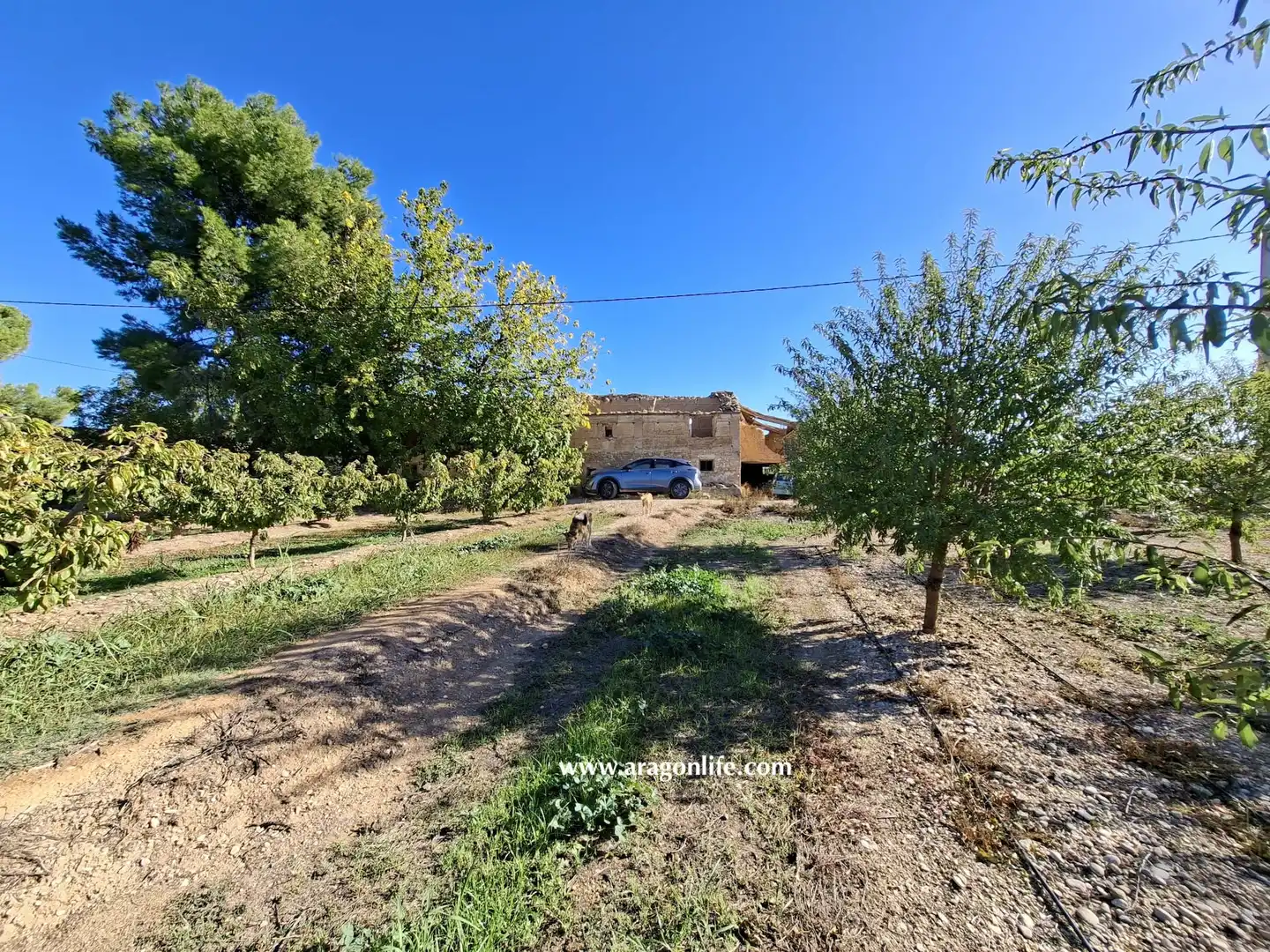 Finca rústica en venta en Caspe