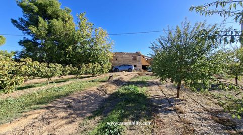 Foto 4 de Finca rústica en venta en Avenida Maella, Caspe, Zaragoza