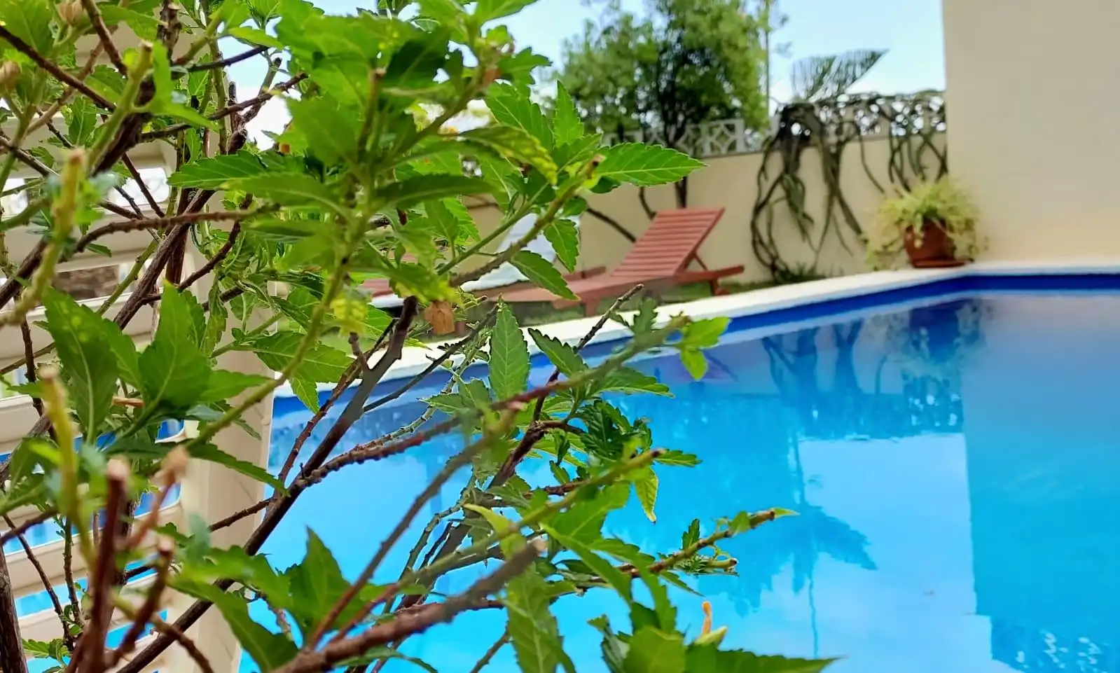 Swimming pool of Buildings for sale in Candelaria
