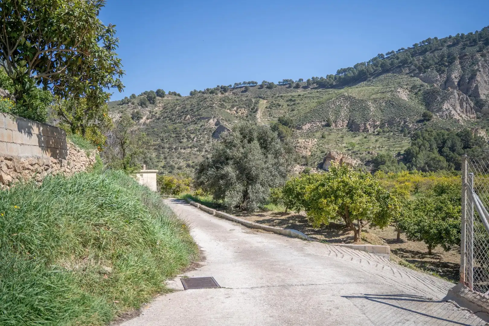 Terreni e lotti in vendita a Villamena, imagen 36