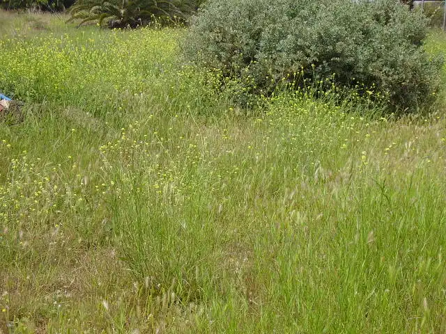 Residential land for sale in Calle Rafael Balaguer 75, imagen 4