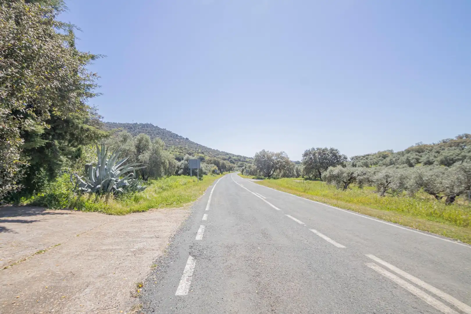 Außenansicht von Grundstücke zum Verkauf in El Pedroso