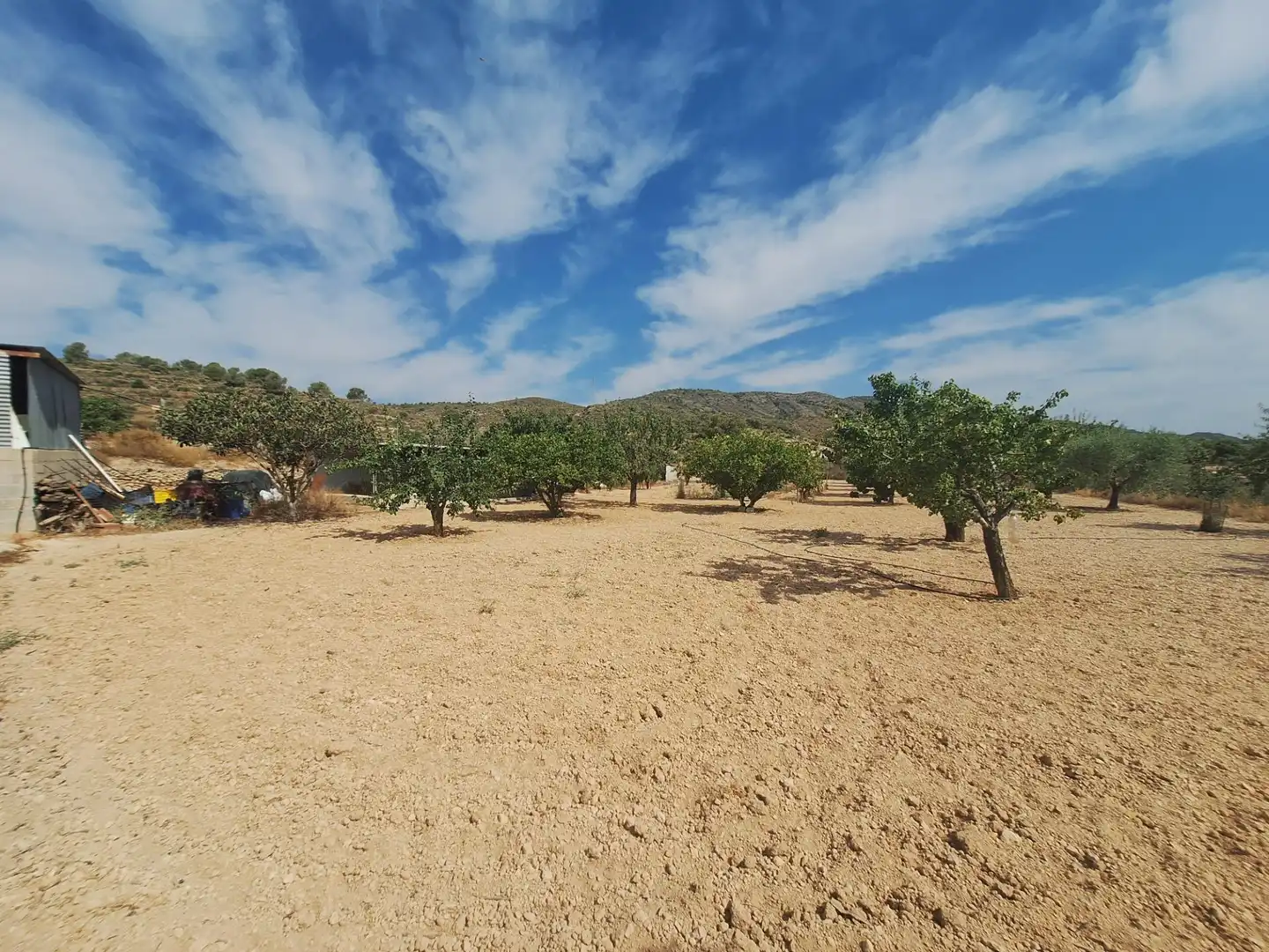 Casa o chalet en venta en Monóvar  / Monòver con Aire acondicionado, Calefacción y Jardín privado