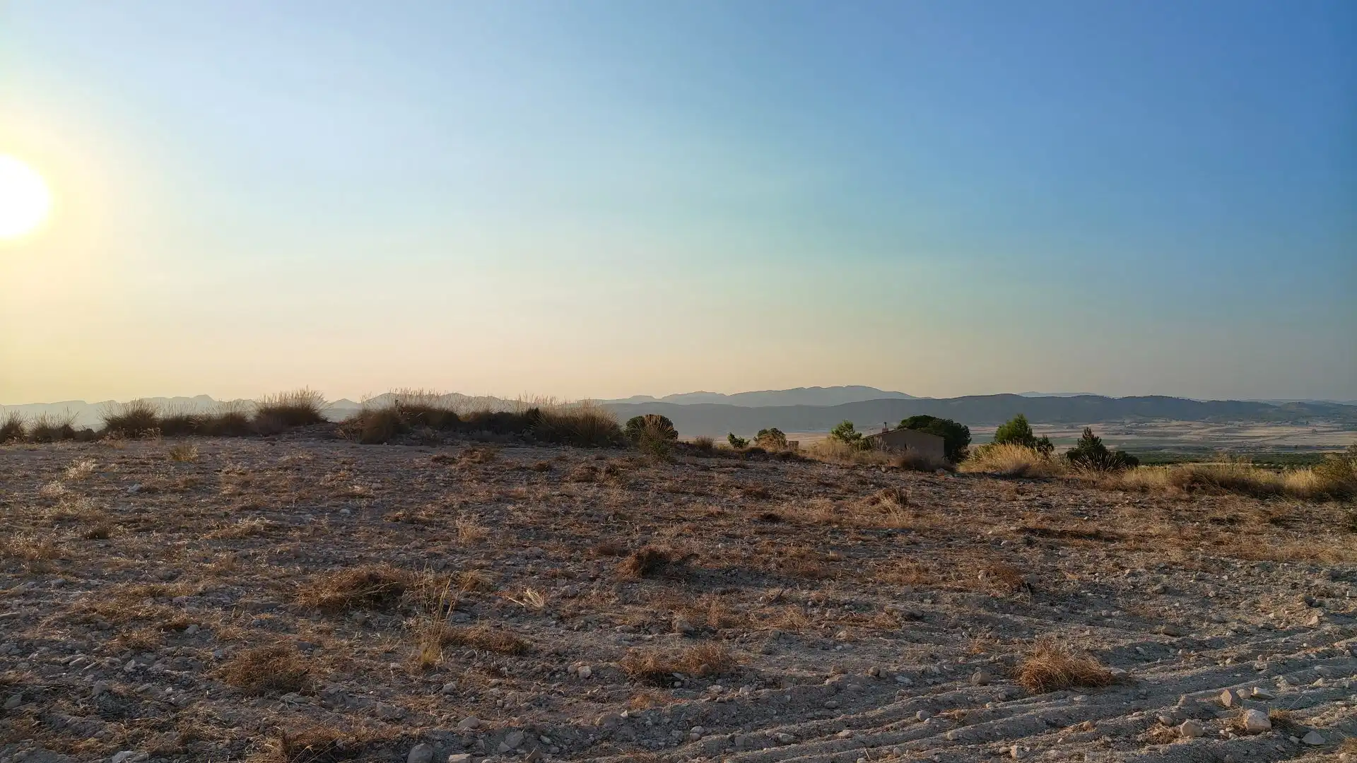 Terreno rustico in vendita a Jumilla, imagen 10